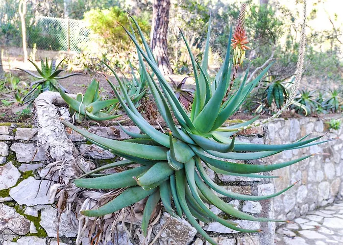 Il Papavero Апартаменты *